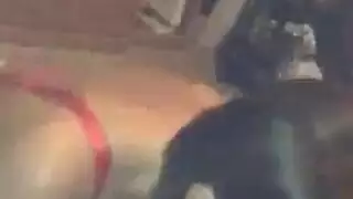 سكس شكل زب الجرو وذكر الكلاب