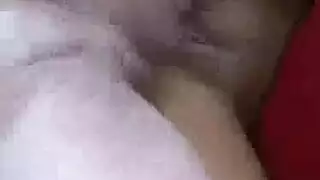 مشاهد قضيب حيوان مع مؤديات نساء مثيرة