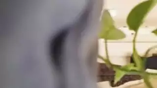 رغبات الأم المحرمة: أكل كس البنت ولعق الطيز في ثالوث محظور