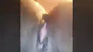 تصارع عدواني وجنس كلبي مكثف