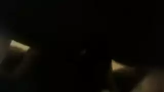 شباق سود مستعدون للاستدعاء، يظهرون وقتهم المثالي