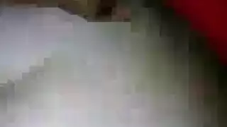 هواة عرقي الجنس الهرة الطبيعية