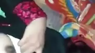 شرجي الهرة الكبيرة حزم على مثليه