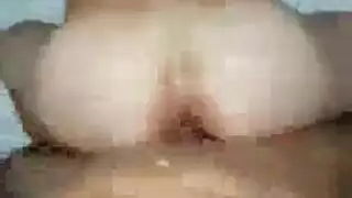 مواقع نكاح الحيوانات غير المحجوبة تبث الإباحية 247