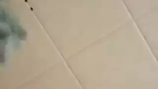 مرآة مزرعة خيار