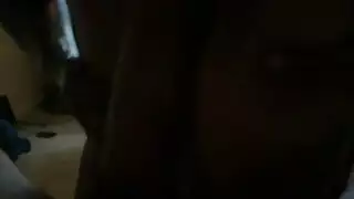 أفلام إباحية قديمة: مجموعة كلاسيكية من الأفلام الصريحة