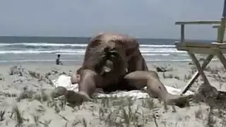 العاهرة الروسية جيسيكا تئن على الشاطئ وضعية الكلب من منظور الشخص الأول