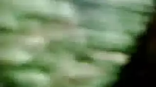 تدوير ميشيل وولف باختراق مزدوج شديد