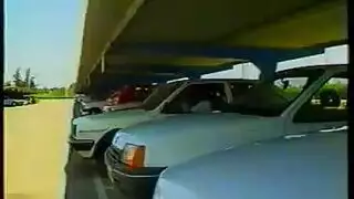 خمر الإيطالي قتال شعر ناضج