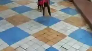 عبادة أقدام بالنايلون: كعب عالي ورائحة قوية لأقدام حافية