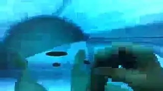 بيانو ناضجة ويونغ غريب