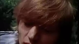 الوردي الهرة أمستردام في سن المراهقة شعر