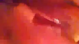 تشتم عشيقها