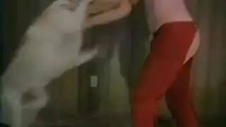 فيديو سكس نساء مع حيوانات سكس نيك يدخل زبره كامل في كسهاء