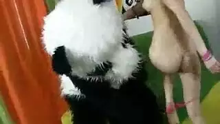 ڨوينات مغربيات