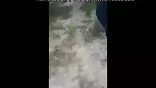 في الشارع بزاز عربية