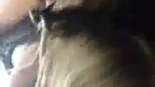 مثلية ساخنة تمارس الجنس بقسوة مع قضيب عملاق